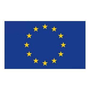 Bandiera europa 20 x 30 cm