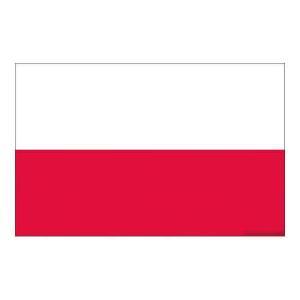 Bandiera polonia 20 x 30 cm