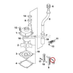 Vite evinrude johnson brp passo americano (usa)